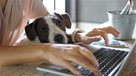 Als het bestuur het telewerkreglement wijzigt nadat medewerkers het hebben aanvaard bij hun arbeidsovereenkomst, is het dan direct toepasbaar?