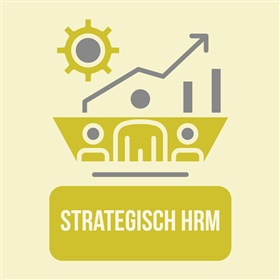 Strategisch hrm in lokale besturen: enkele inzichten