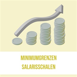 Besluit RPR: aanpassing minimale grenzen salarisschalen in functie van sectoraal akkoord 2026-2031